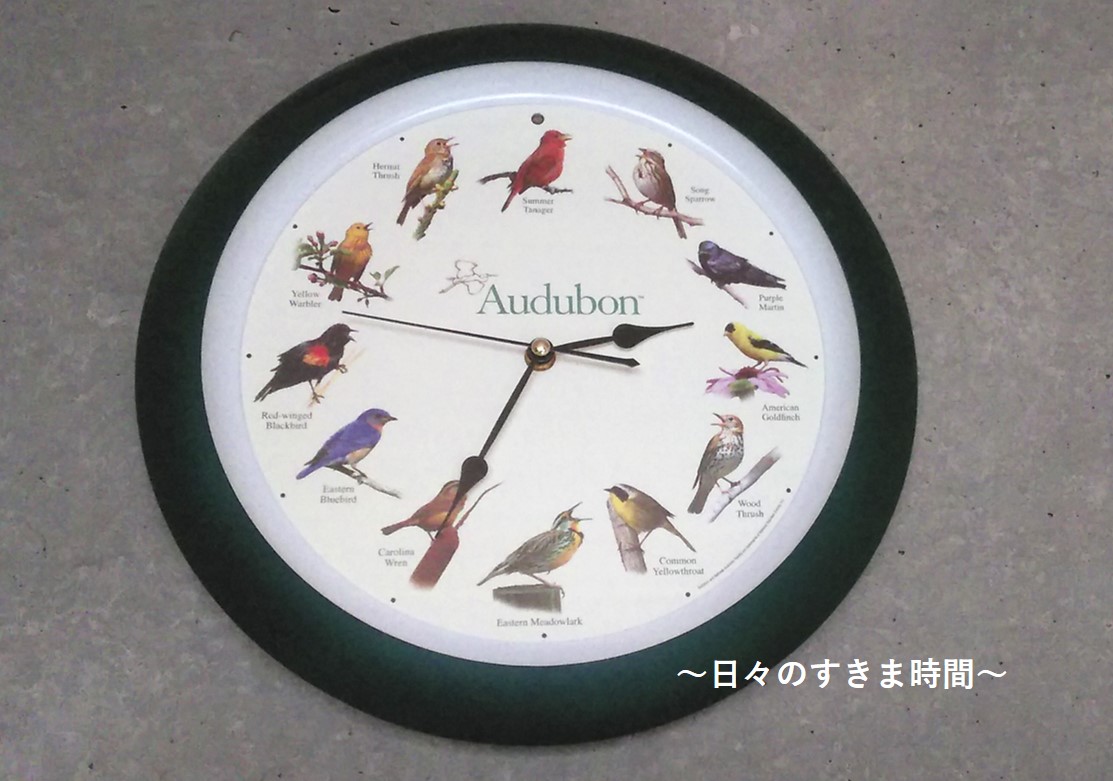 野鳥の掛け時計